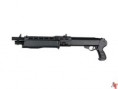 SPAS 12 ASG